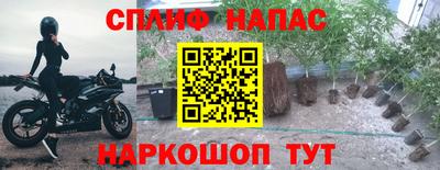 стафф Обь