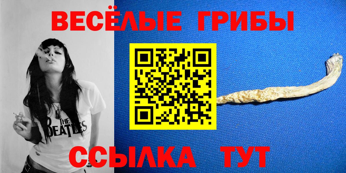 Шадринск  Псилоцибиновые грибы ЛСД  Вход с VPN 