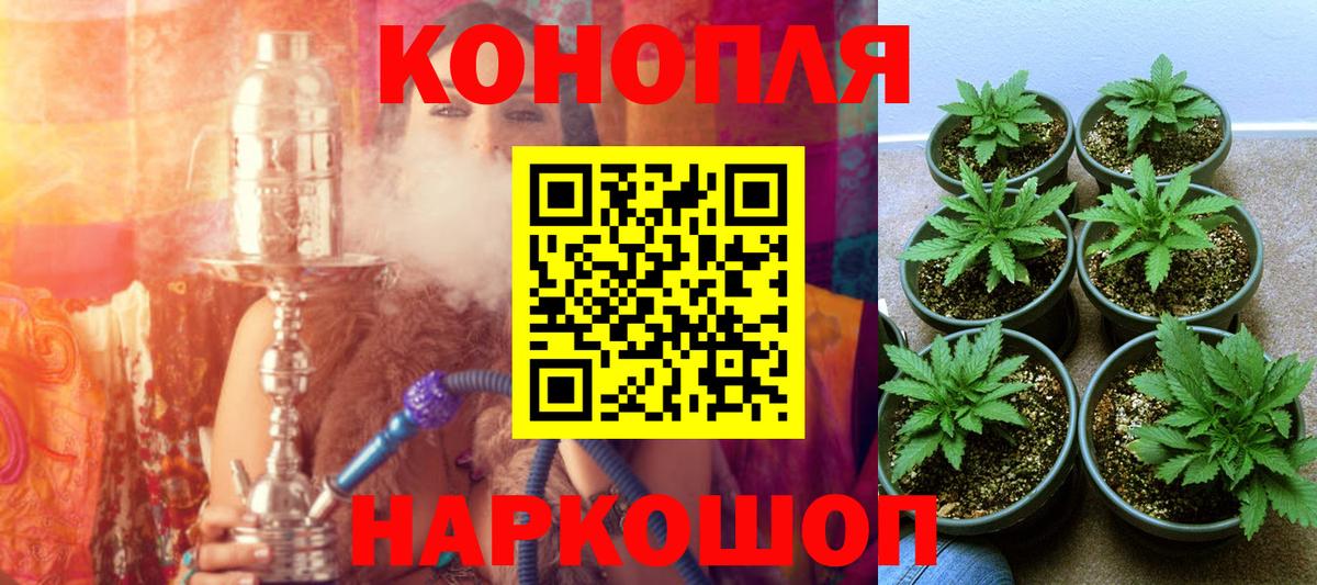 Марихуана гибрид Шадринск